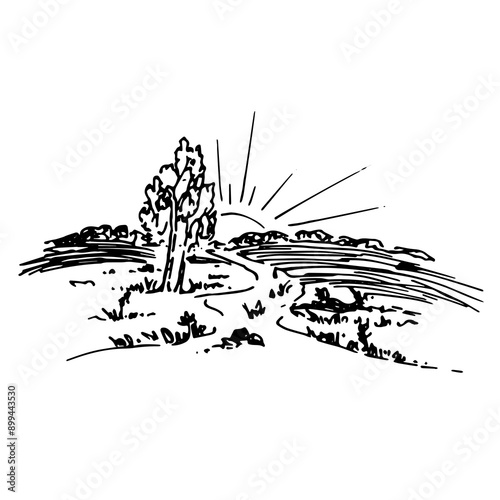 Rural landscape with fields, vineyards, hand drawn sketch.