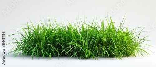 Lush natural grass, white background, high detail, vibrant green, botanical close-up, isolated shot