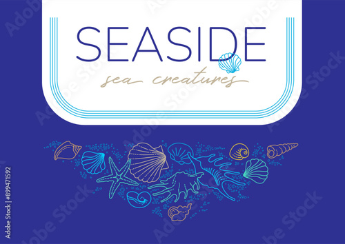 Vector frame, border, vignettes, corners of line art tropical sea elements, seashells, starfish. Doodles of marine life. Sea decor for scrapbook, card, design. Ocean creatures. Maritime illustration