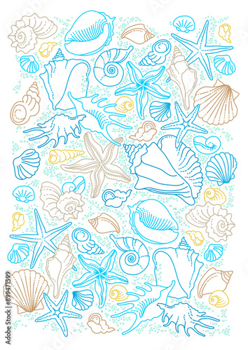 Vector square illustration of line art tropical sea elements, seashells, starfish. Doodles of marine life. Sea decor for scrapbook, card, design. Ocean creatures. Maritime illustration. A4 page size