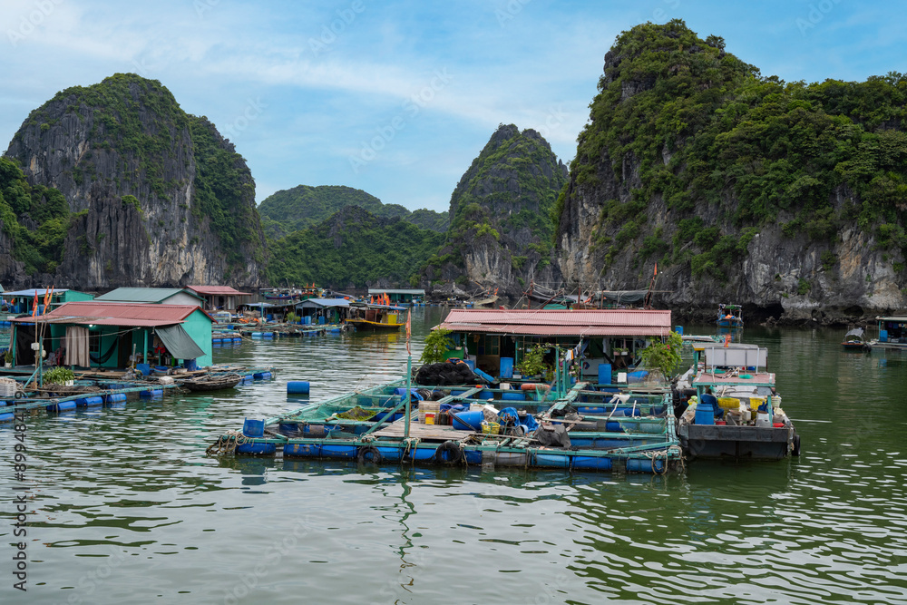 ferme piscicole dans la baie de Lan Ha , Vietnam ferme piscicole dans la baie de Lan Ha , Vietnam