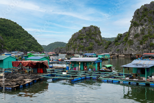 ferme piscicole dans la baie de Lan Ha , Vietnam photo