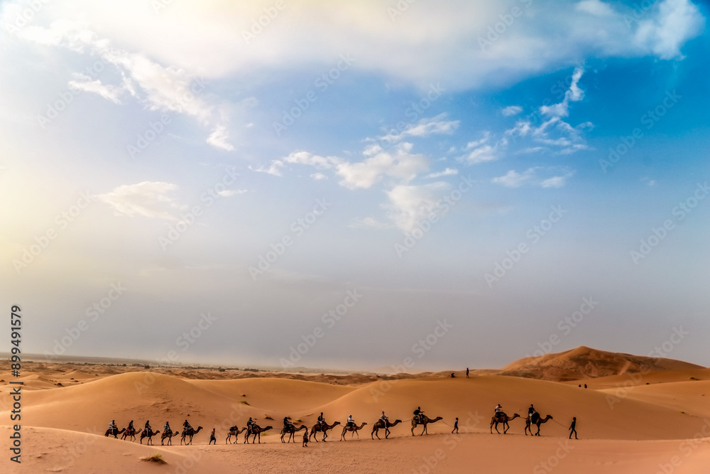 A group of tourists enjoys a camel ride amidst the majestic Merzouga dunes, their excitement palpable as they traverse the golden sands. The serene landscape and stunning vistas create an unforgettabl A group of tourists enjoys a camel ride amidst the majestic Merzouga dunes, their excitement palpable as they traverse the golden sands. The serene landscape and stunning vistas create an unforgettabl