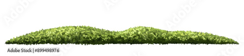 Vector watercolor of mountain side view isolated on white background for landscape and architecture drawing, elements for environment and garden, painting botanical for section