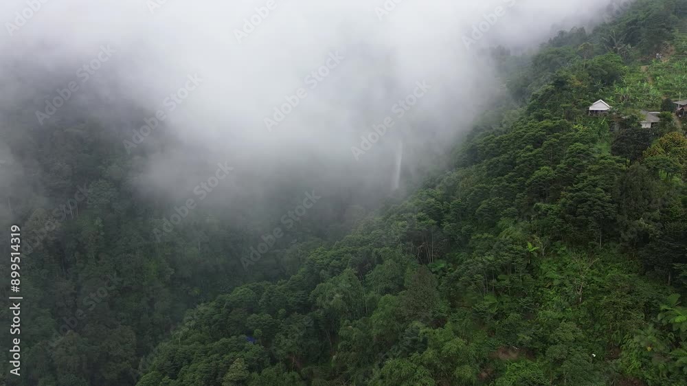 Early morning view of a majestic waterfall hidden in the mist-shrouded rainforest. Early morning view of a majestic waterfall hidden in the mist-shrouded rainforest.