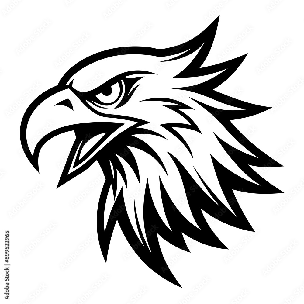Fototapeta premium eagle Vector