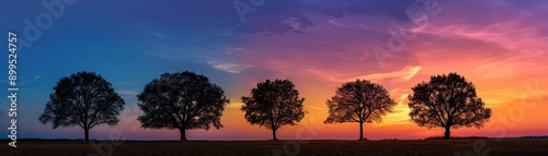 Silhouette of trees against a vibrant, colorful sky during sunset, peaceful and tranquil