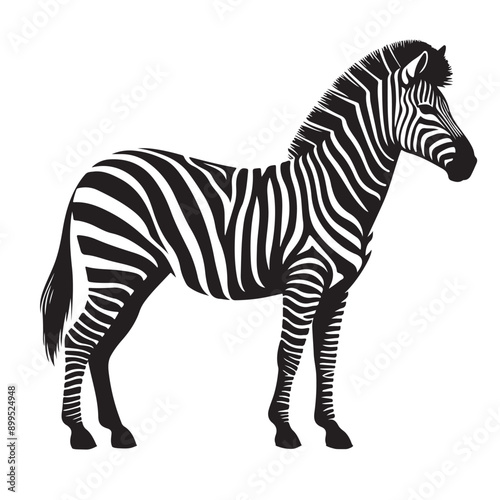  zebra Silhouette vector white back ground