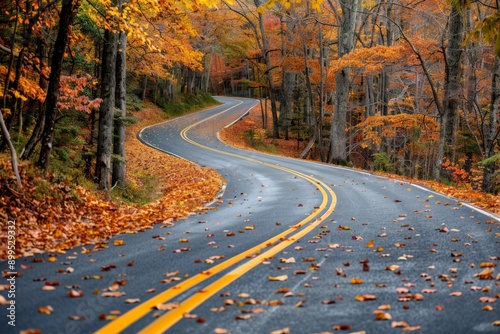 winding road covered autumn leaves