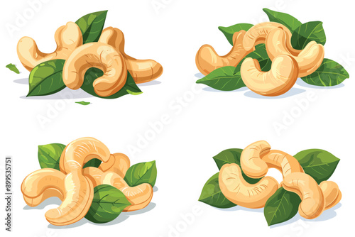 Fresh tasty cashew nuts, Set of delicious cashew nuts, Roasted Cashew nuts with leaf isolated on white background, Vector illustration