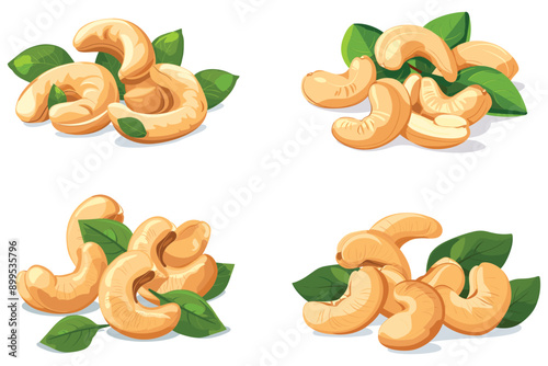 Fresh tasty cashew nuts, Set of delicious cashew nuts, Roasted Cashew nuts with leaf isolated on white background, Vector illustration
