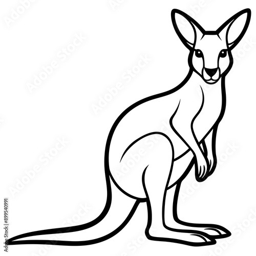Kangaroo Vector