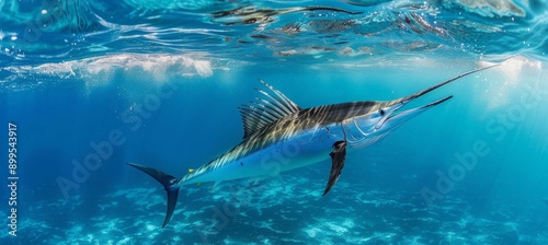 Marlin swordfish underwater sea. Generative AI technology.	
