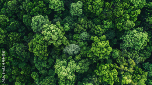 ESG concepts, environment, society and governance The energy of the natural environment is sustainable and ethical in networking Birds eye view of a lush forest