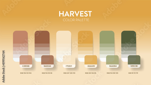 Color palette guide in Fresh colour theme collections. Color inspiration or chart with codes template. Color combination RGB. Colors swatches for graphic design, art, fashion, web or painting. Vector.