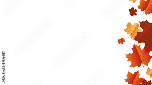 Autumn leaf background with transparent background. Autumn leaf border with transparent background