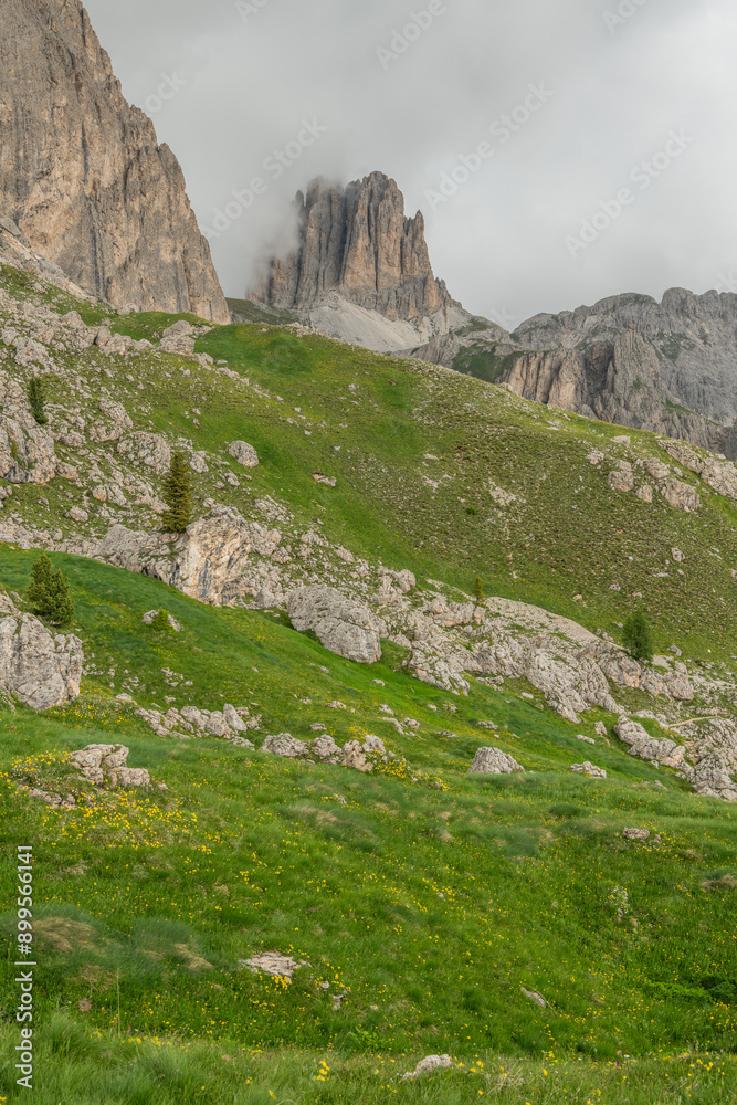 Obraz premium Italian Dolomites during a cloudy summer day. Fresh alpine meadow in foreground, impressive Dolomites mountains in background. Wonderful hiking spot, amazing hiking area in Italy. Outdoor activities.