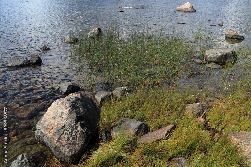 Obraz premium Rock and stones at the Baltic sea. Peaceful summer day. Fogdö, Roslagen, Stockholm, Sweden.