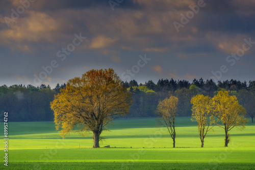 Pomorski krajobraz © Robert