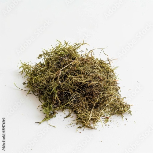 A close-up photograph of a pile of Spanish moss. The moss is a light green color and has a soft, feathery texture. It is often used in floral arrangements and terrariums. photo