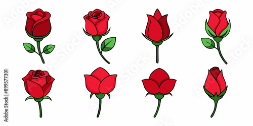 Red rose flowers at various growth stages, from bud to full bloom. Rose Bundle Collection.