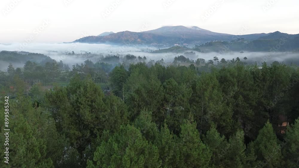 Mountains under mist in the morning Amazing nature scenery. Tourism and travel concept , Fresh and relax type nature Mountains under mist in the morning Amazing nature scenery. Tourism and travel concept , Fresh and relax type nature