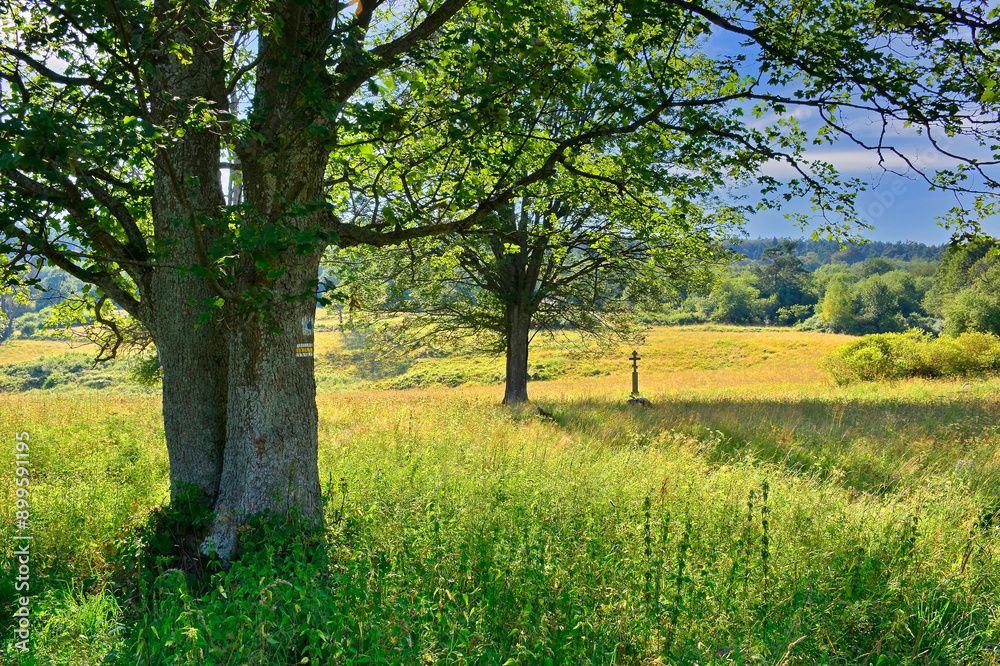 Beautiful summer landscape in the mountains with green meadows and forested hills, Nieznajowa, Low Beskids (Beskid Niski), Poland Beautiful summer landscape in the mountains with green meadows and forested hills, Nieznajowa, Low Beskids (Beskid Niski), Poland