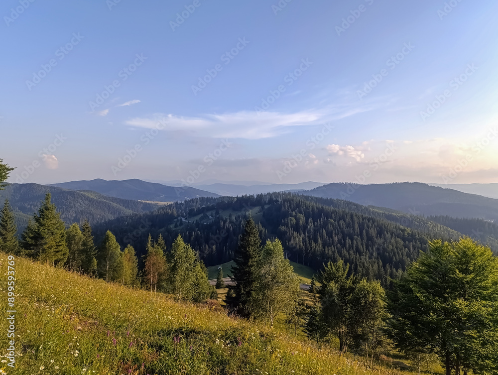 Landscapes -  Forest - Europe, Romania