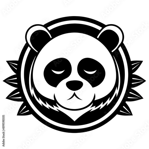 panda bear Vector