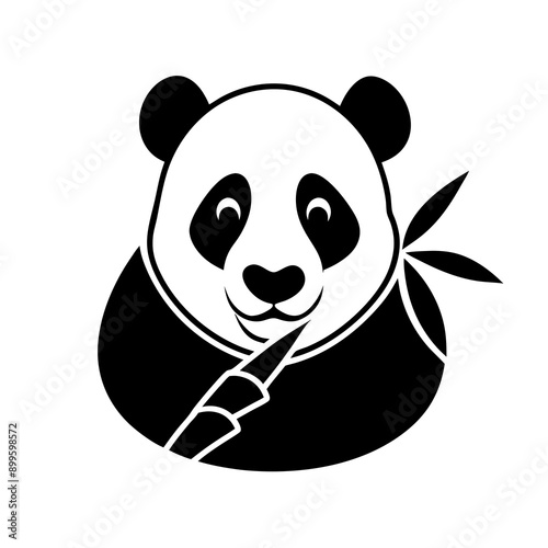 panda bear Vector