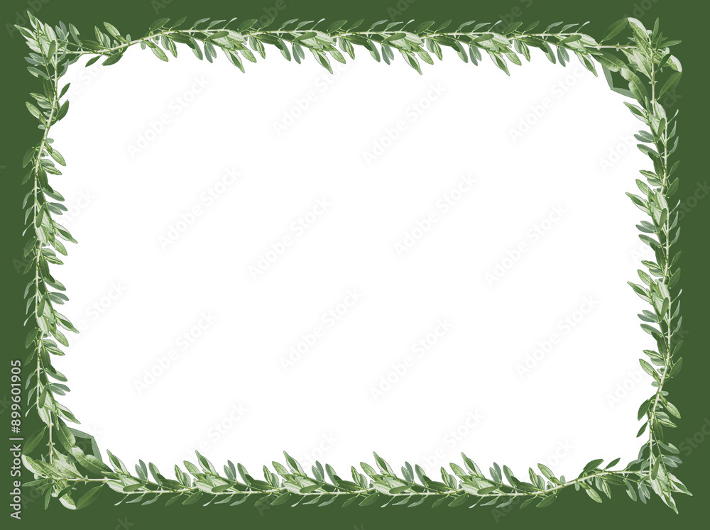 green grass frame green grass frame