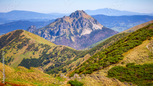 landscape in the summer