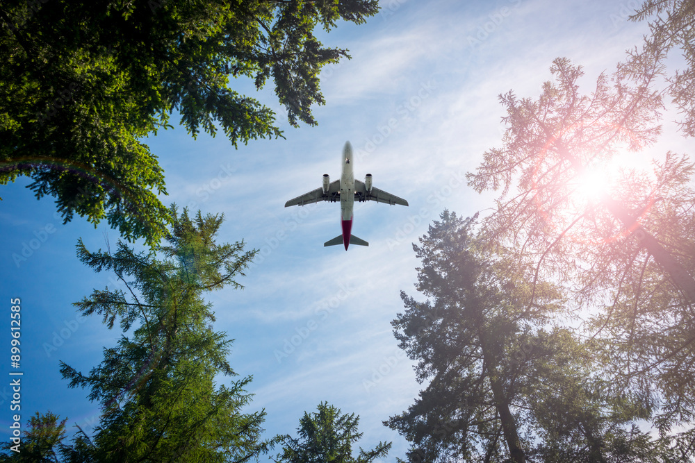 Airplane flying above the forest, directly below. Airplane flying above the forest, directly below.