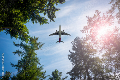 Airplane flying above the forest, directly below.