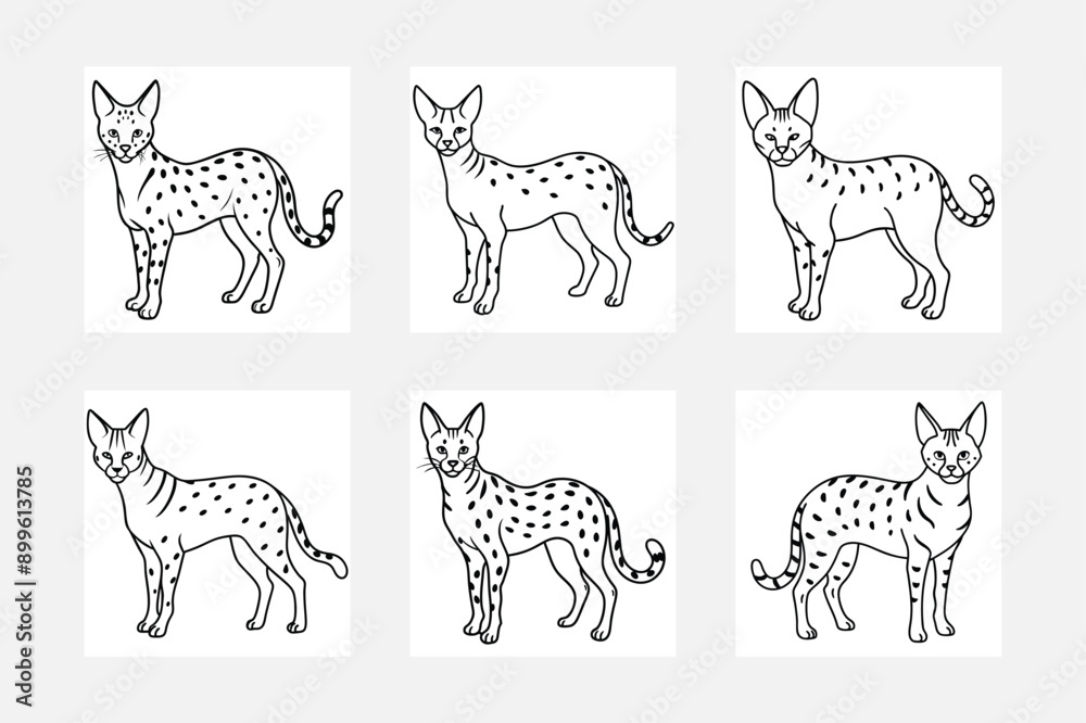 Fototapeta premium Exciting Serval Line Art for Young Artists
