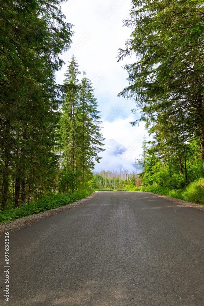 Road in the mountains. Summer trip. Hiking in the mountains. Road to Morskie Oko. Tatra Mountains Road in the mountains. Summer trip. Hiking in the mountains. Road to Morskie Oko. Tatra Mountains