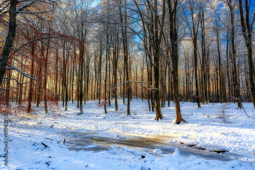 Fototapeta Naklejka Na Ścianę i Meble -  Zimowy poranek