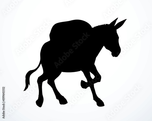 Vector drawing. Cute old mule