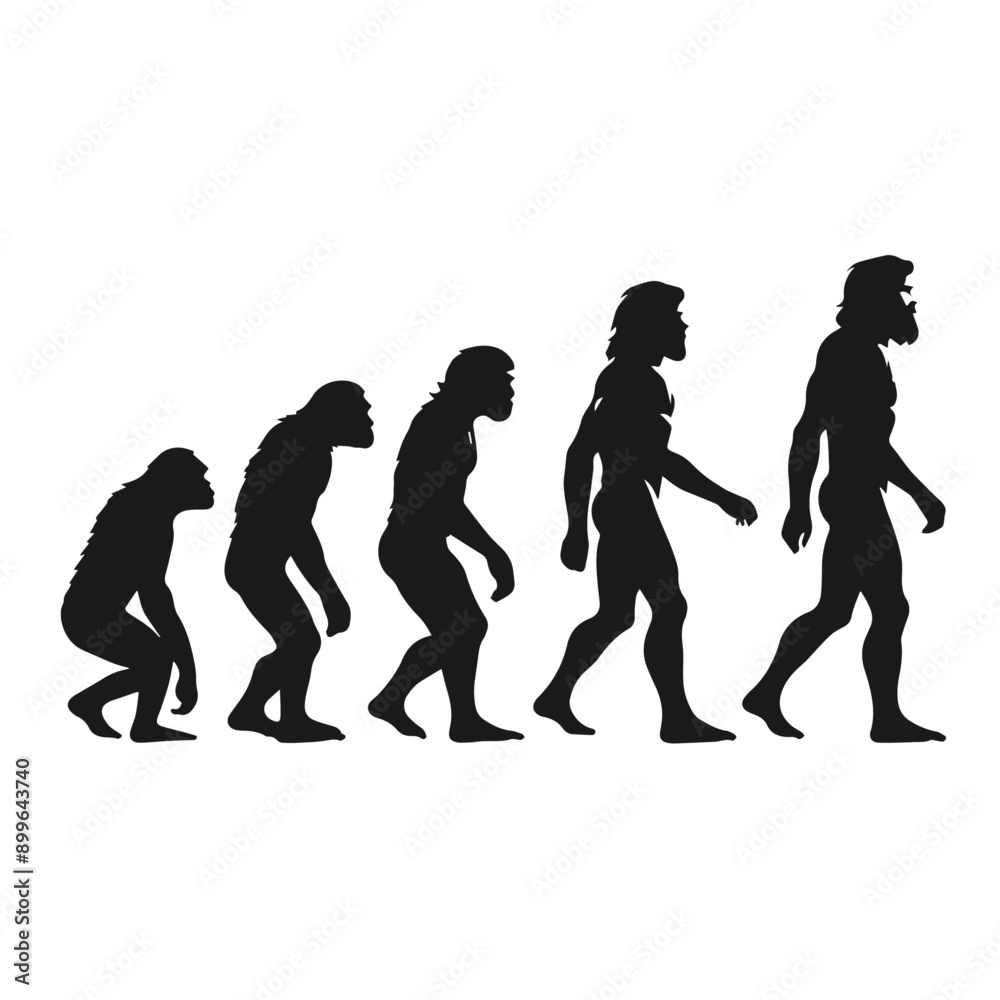 Obraz premium Clean Black and white vector silhouette of a Evolution of human specie on white background