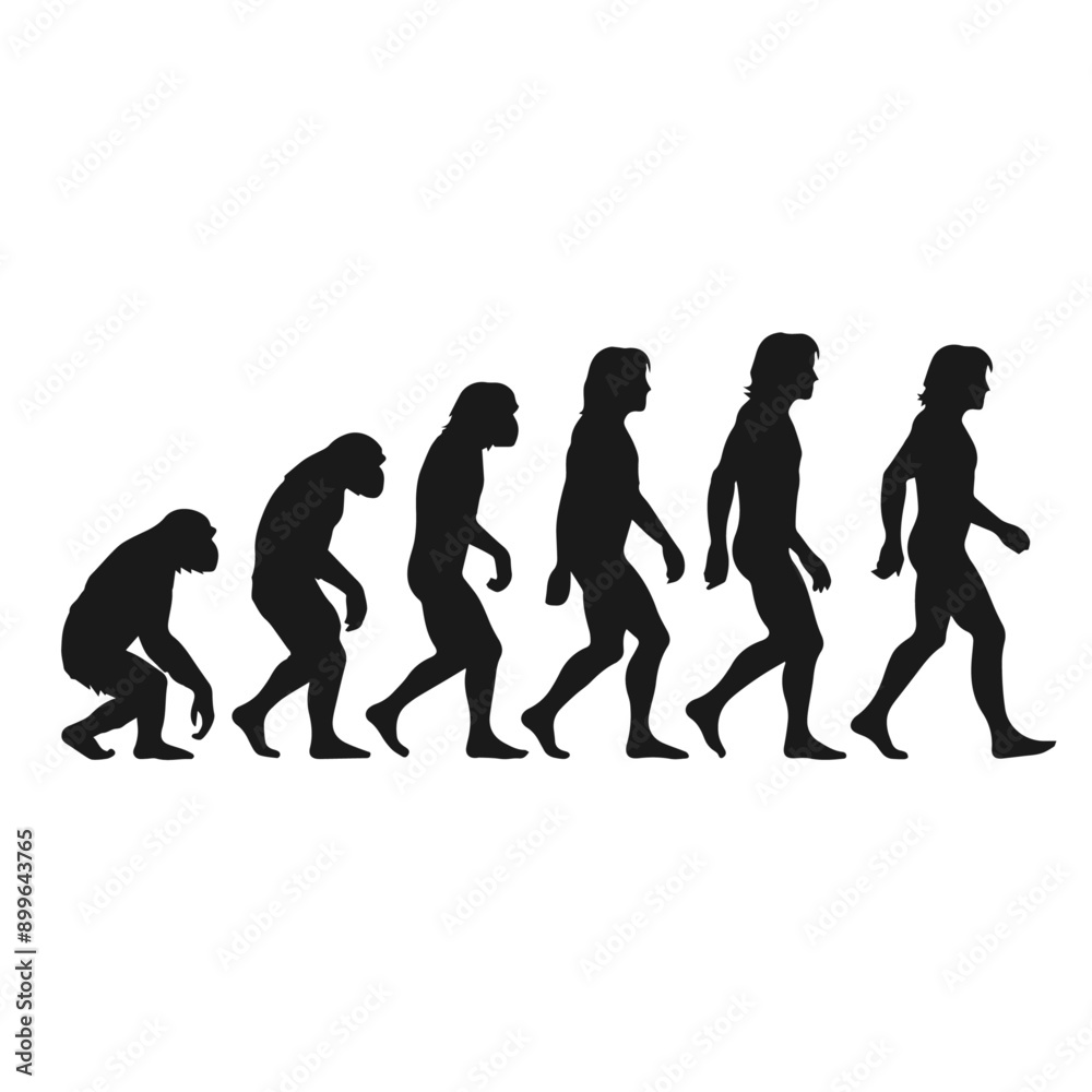 Obraz premium Clean Black and white vector silhouette of a Evolution of human specie on white background