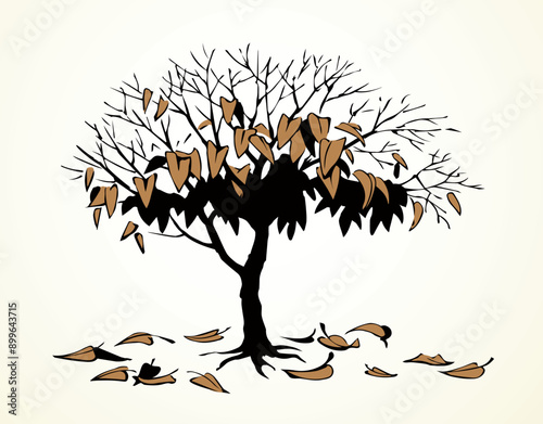 Vector drawing. Withered tree with fallen leaves
