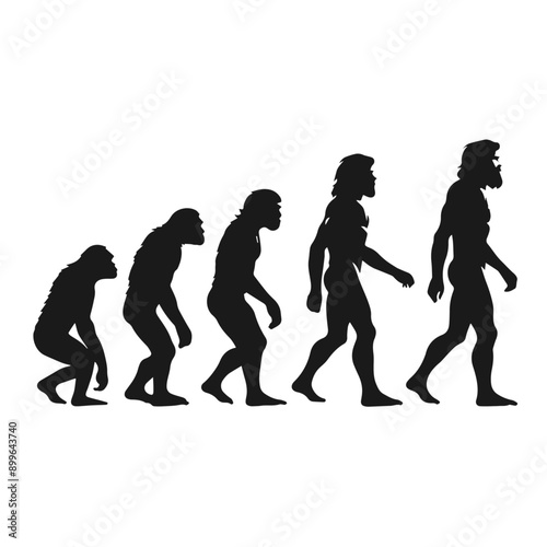 Clean Black and white vector silhouette of a Evolution of human specie on white background