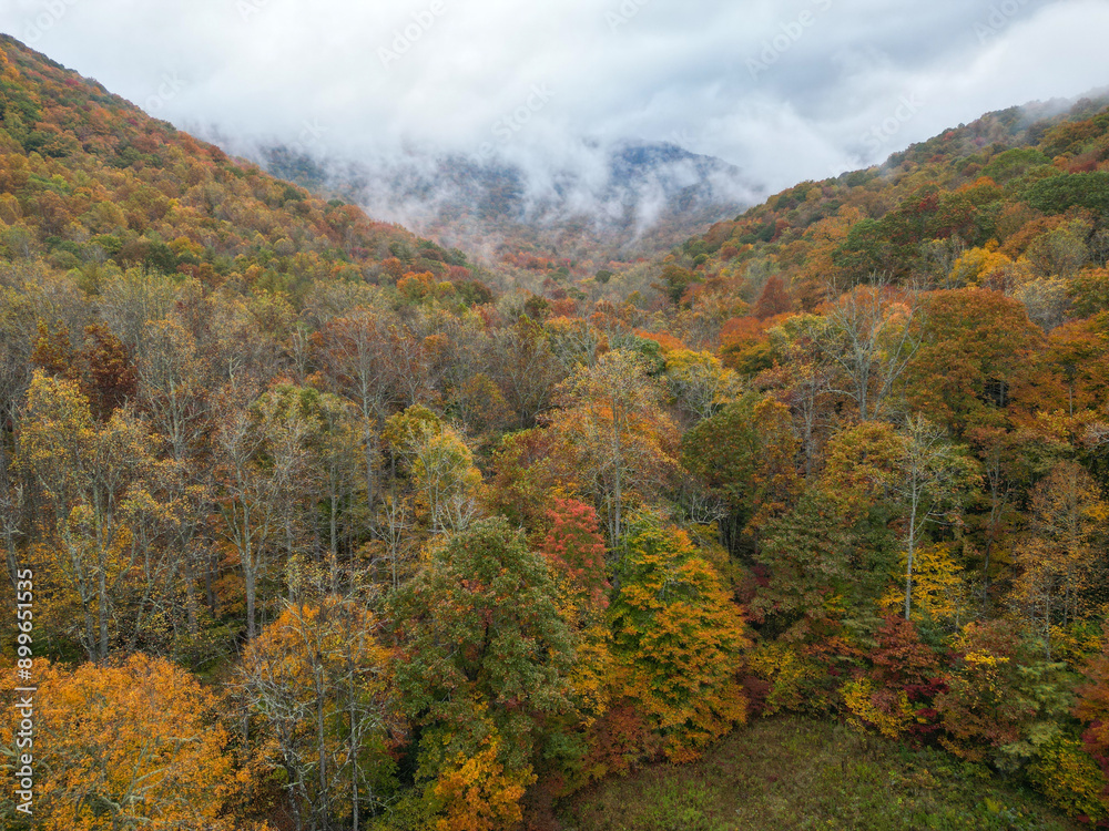 Misty Mountains outside of Asheville, North Carolina. Foggy weather in the Blue Ridge Mountains. Autumn forests near Appalachian Trail. Fall leaf foliage in october Misty Mountains outside of Asheville, North Carolina. Foggy weather in the Blue Ridge Mountains. Autumn forests near Appalachian Trail. Fall leaf foliage in october