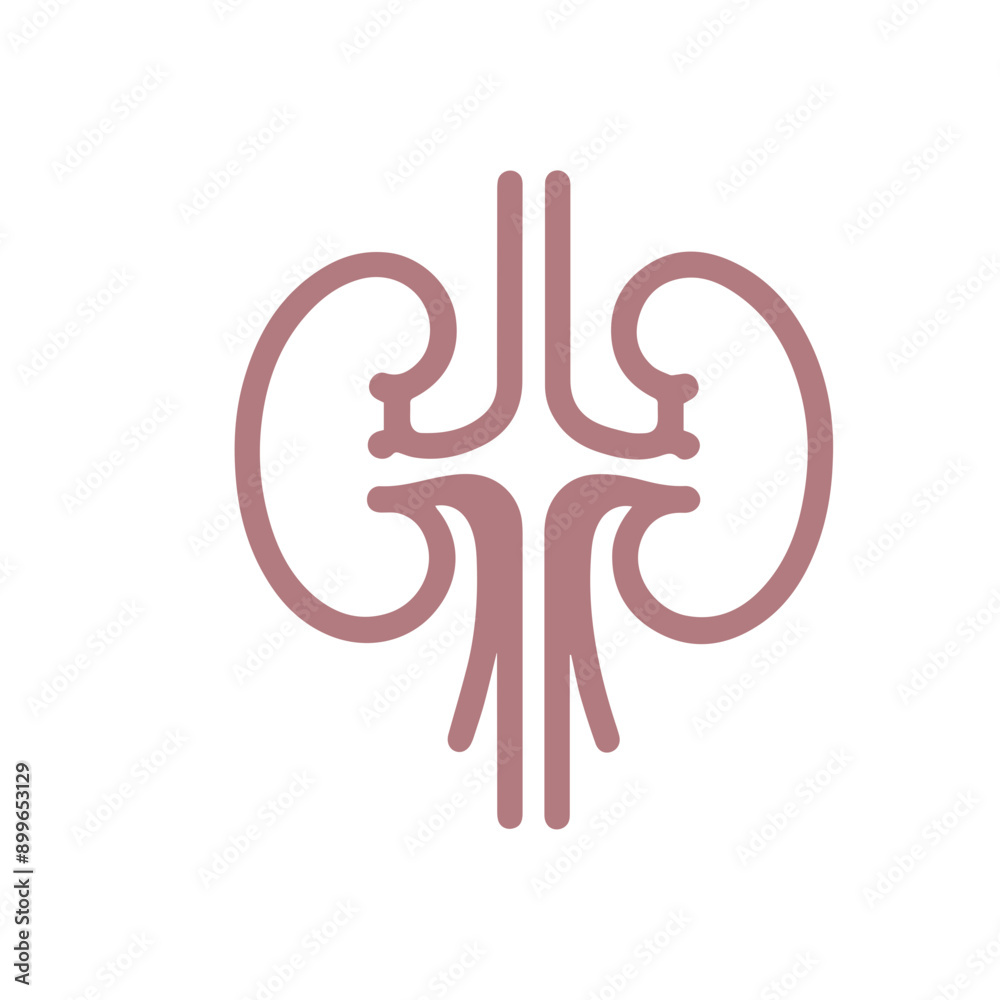 Obraz premium human kidney organ Icon flat design