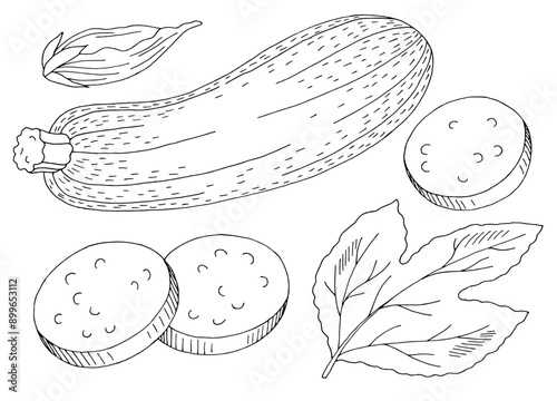 Zucchini graphic black white isolated sketch illustration vector