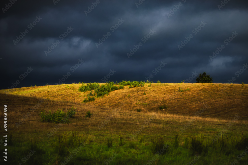 Obraz premium Przed burzą