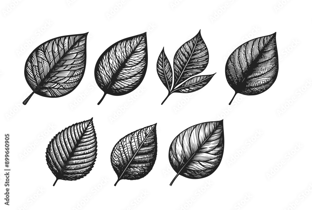 Adobe Illustrator Artwork Adobe Illustrator Artwork