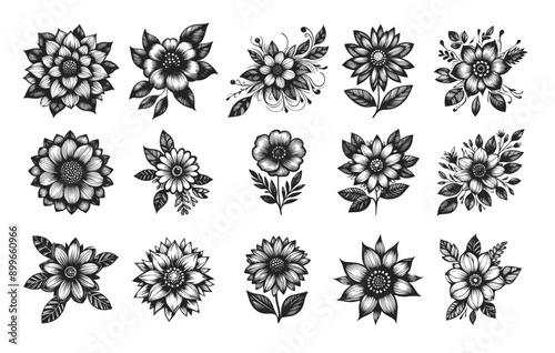 Adobe Illustrator Artwork