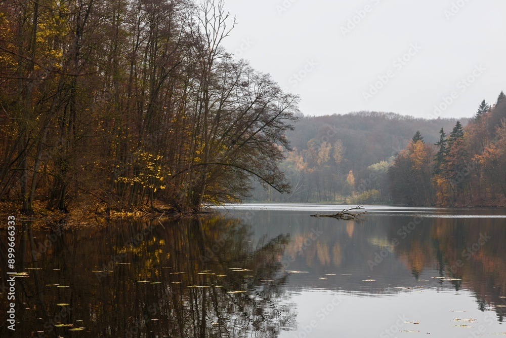 Fototapeta premium Jesień