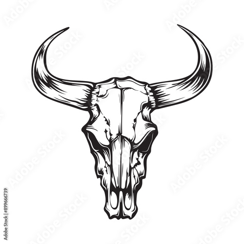 Wallpaper Mural Bull Skull Black White Vector Illustration Stock Vector isolated on white background Torontodigital.ca